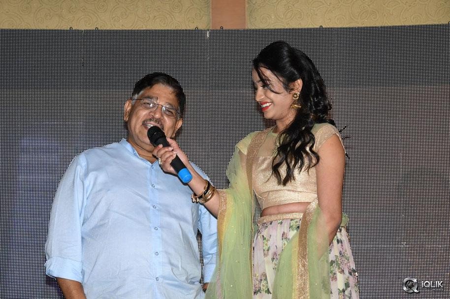 Srirastu-Subhamastu-Movie-Success-Meet